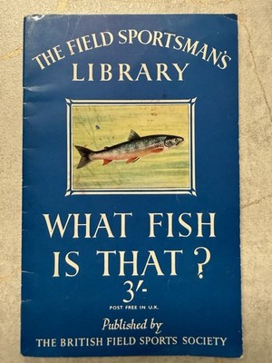 What Fish Is That? 1960 Illustrated Guide Freshwater Fish UK Angling
