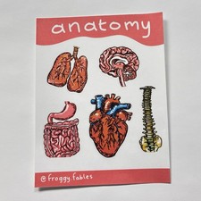 Anatomy Sticker Sheet 3.5 X 4.5 Anatomical Stickers - Froggy.Fables