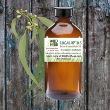 ORGANIC EUCALYPTUS ESSENTIAL OIL 100 Pure Therapeutic Aromatherapy CHOOSE SIZE