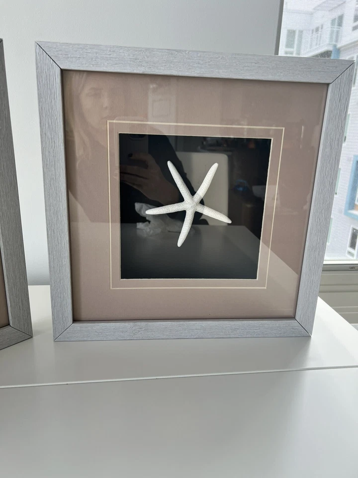 (Juego de 2) Arte de pared enmarcado dólar sol estrella de mar blanco de 14’’x14” Foto 3 de 4