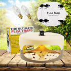 Electric Flea Trap Killer Non-toxic Pad Home Pest Control Sticky Disc Spare Lamp