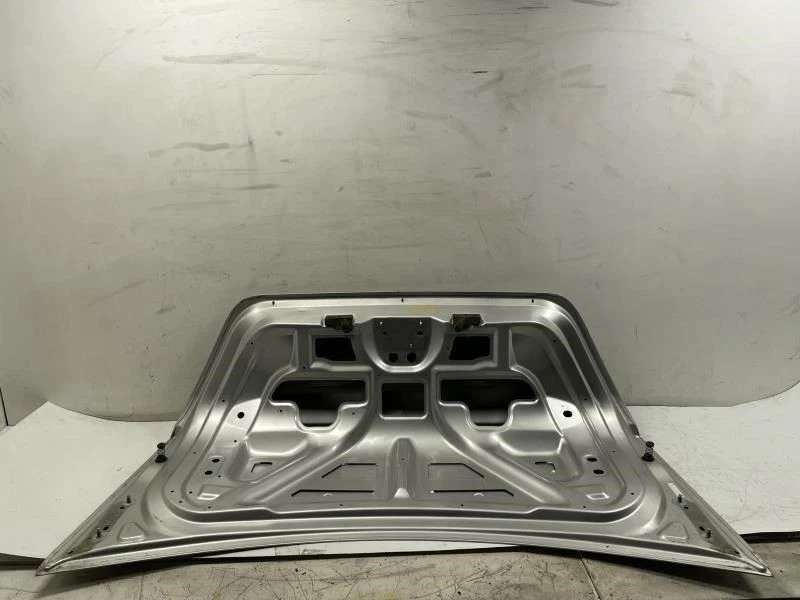 FORD QUINIENTOS 2005 2007 PORTÓN TRASERO MALETERO TAPA CARCASA PLATA ABEDUL METÁLICO Foto 3 de 4