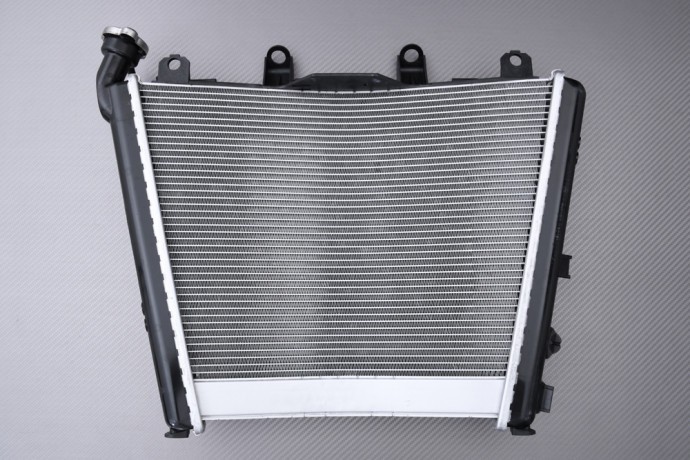 Radiateur moto BMW S1000 R 2025 refroidissement moteur optimal