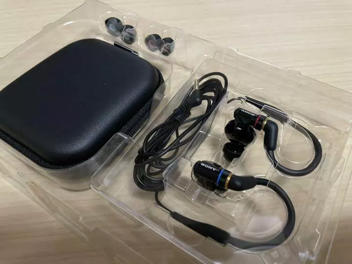 SONY Inner Ear Monitor Earphones MDR-EX800ST Black | eBay