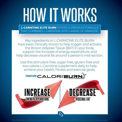 l carnitine vs whey protein Performance, Recovery, and Muscle Building: Casein vs. Whey Protein
