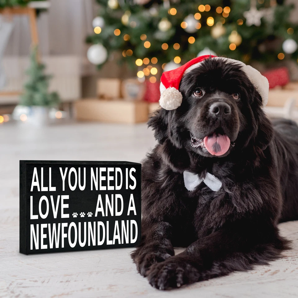 Подарки Ньюфаундленда, все, что вам нужно, это любовь и деревянный знак Ньюфаундленда, Newfies - Изображение 3 из 4