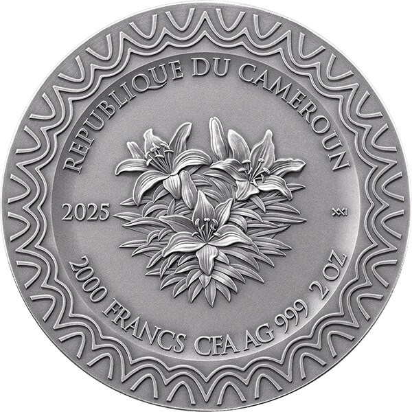 2025 Cameroon Aurora Celestial Beauty 2 oz Antique finish Silver