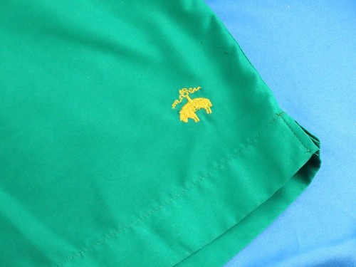 BROOKS BROTHERS Sweet Green 5" SWIM TRUNKS SHORTS Mesh Liner DRAWSTRING sz L - Picture 2 of 5