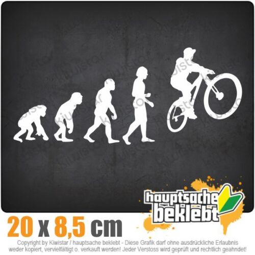 Evolution mountain bike cycling csf0780 JDM sticker sticker - Picture 1 of 1