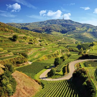 Deal 3 Tage Bahlingen am Kaiserstuhl Kurzreise | Gutschein 3 Hotel ÜF 2 Personen