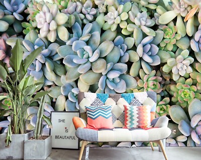 3D Succulents J718 Wallpaper Mural Wall Print Wall Wallpaper Murals Honey |  eBay