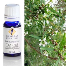 Gumleaf Essentials - Tea Tree Lemon Scented - Essential Oil - 10 mL