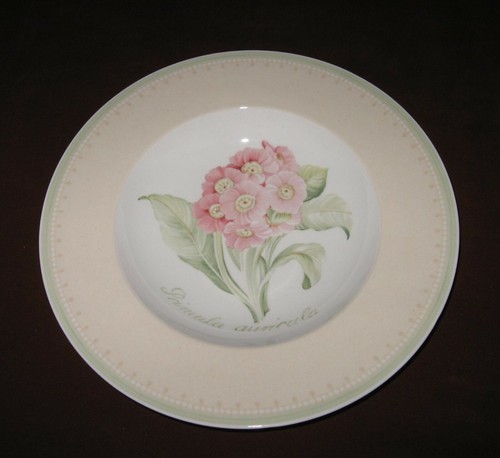 Villeroy & Boch Florea Floris 3 Suppenteller tiefe Teller 24 cm II. Wahl ? V&B - Bild 2 von 7