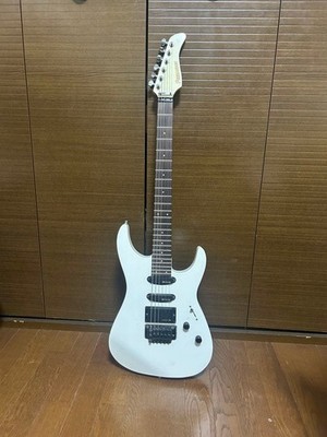 FERNANDES FR-Serie E-Gitarre weiß