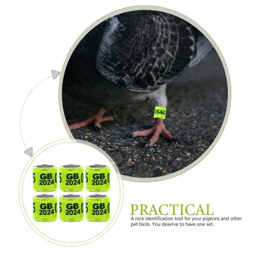  100 Pcs Bague Poule Anneaux De Jambe Pigeon Bandes Jambes D'oiseau - Photo 4/4