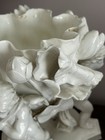Bild 13 von 24