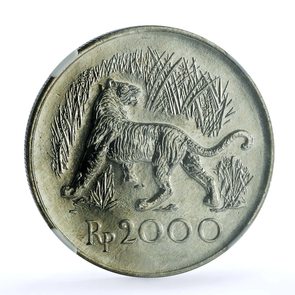 Indonesia 2000 rupiah Javan Tiger KM-39 Cat Fauna MS 65 NGC silver coin 1974 - Image 3 of 4
