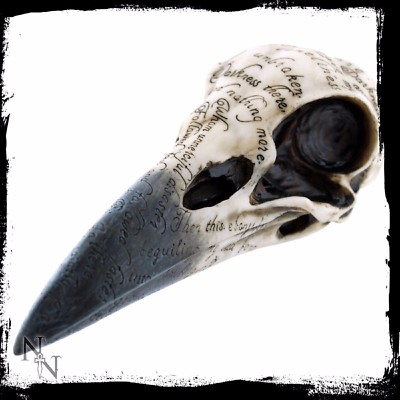 Edgars Raven Skull Graviert Crows Kopf Brandneu Gothic Deko 21cm Geschenk