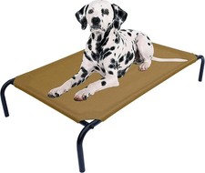 Portable Elevated Pet Cot for Dogs, 43.5"L - Perfect for Outdoor Relaxation