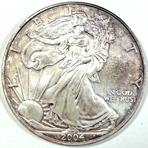 2004 Walking Liberty American Eagle 1 oz Fine .999 Silver Dollar Coin TONED