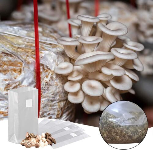 50x Microfilter Beutel, Pilzzucht eutel, Pilzzuchtbeutel, Mushroom Grow Bag, PP - Bild 11 von 21