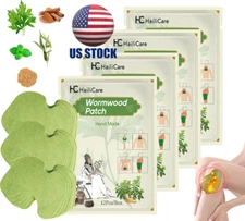 60 Pcs Pain Relief Patch Herbal Natural Knee Joint pain Arthritis - Brand New