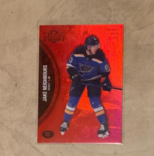 2021-22 Jake Neighbours Skybox Red Metal Universe Precious Metal Gem 41/100