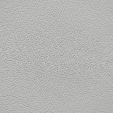 Mercedes Light Ash Leather Dye