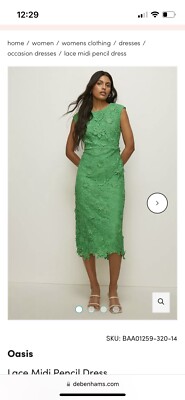 oasis green lace dress Alexis Sage Green Semi-Sheer Floral Lace Mini Dress, L / Green main image 0