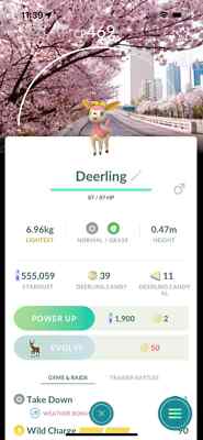 Pokémon Go - Non Shiny Deerling -  Yeouido South Korea Background