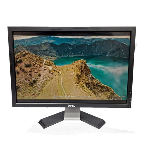 DELL E2209Wf 22" inch 1680x1050 LCD Display Monitor Screen DVI-D VGA
