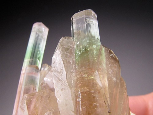 Elbaite Tourmaline Crystals on Quartz, Nuristan, Afghanistan - Picture 3 of 9