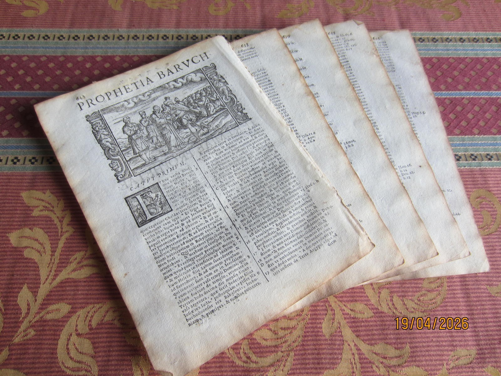 BIBLE 1693 LIBER SAPIENTIAE VULGATE.SIXTO-CLEMENTINE. 5 SHEETS.ENGRAVING. H-641