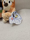 Bluey & Friends Halloween Plush Backpack Clips W/Tags Bluey & Bingo 2024 DanDee — photo 10