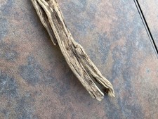 Natural Driftwood for Plants Terrarium Taxidermy Art Projects