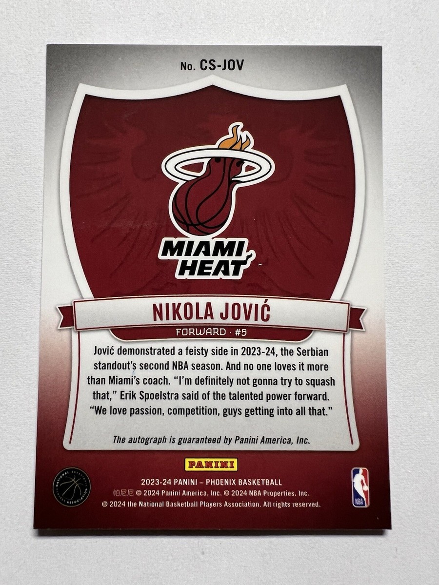 Nikola Jović RC auto silver prizm s-l1200.jpg