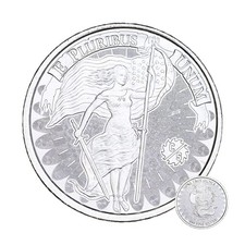 Unity & Liberty Symbol - 1 Oz .999 Fine Silver Coin Silver Round Ounce Collect 18.72 per troy oz