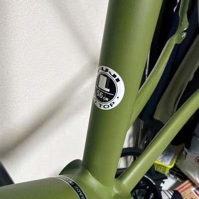 Fuji Track ARCV Pista Frame Set Size L USED | eBay