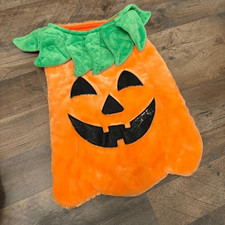 Dog Halloween Costume Orange Furry Pumpkin Jack-o-lantern see INFO sz XL