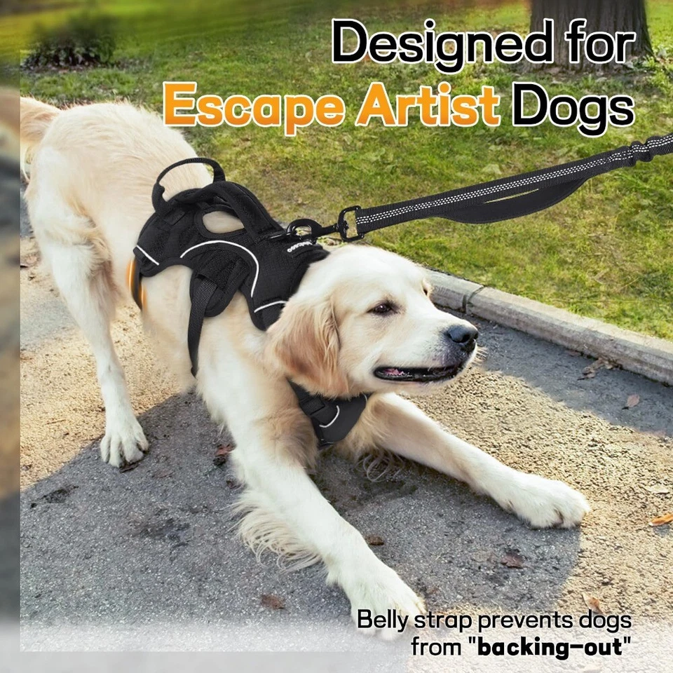 rabbitgoo Escape Proof Dog Harness with Lift Handle Reflective Adjustable Vest - Image 4 of 4