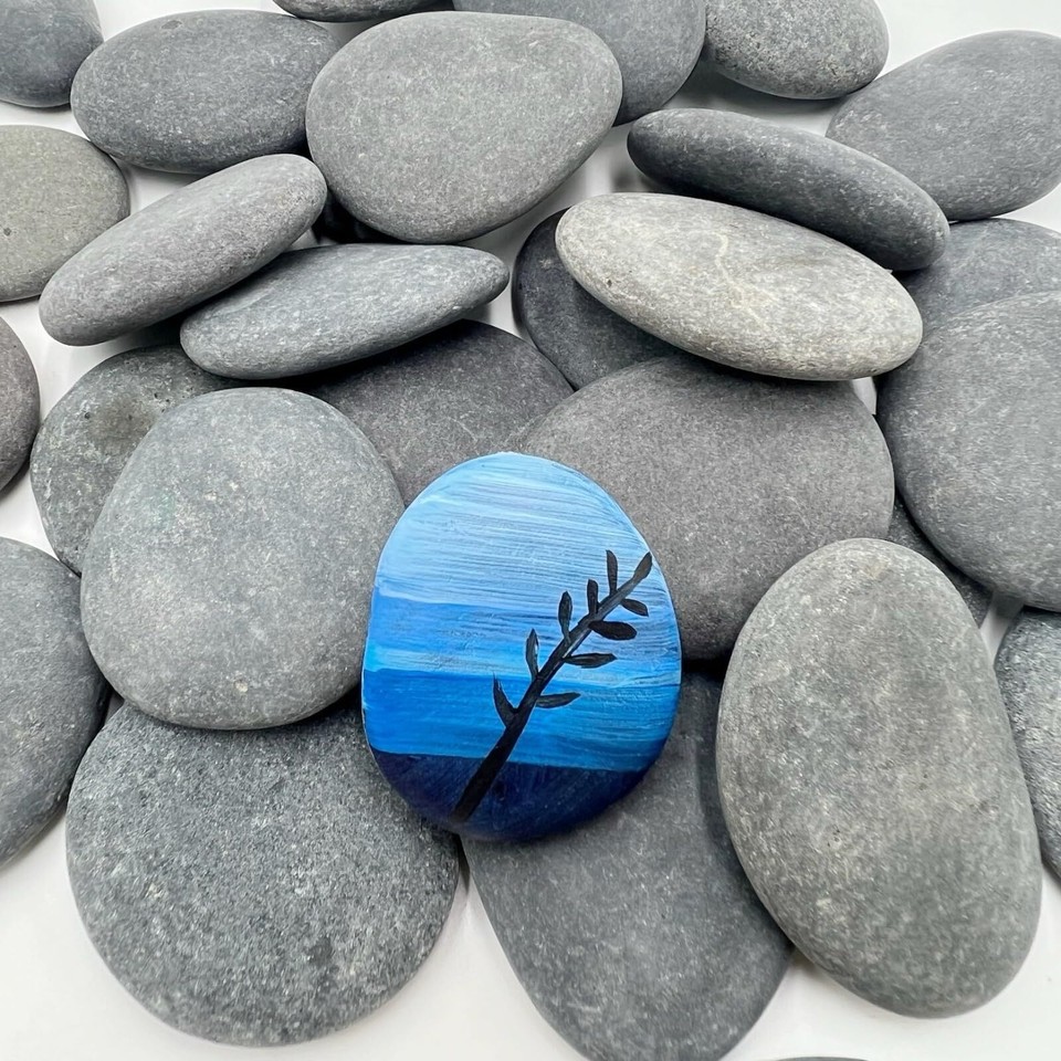 35 PCS Rocks for Painting 1.2
