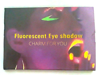 Eyeshadow Pallet Stage Clubbing Neon Makeup Kit Glow in Dark Fluorescent Pigment