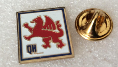 vintage pin's city country - city country (+ for sale) Wales