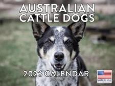 Australian Cattle Dog Calendar 2026 Monthly Wall Calender 12 Month