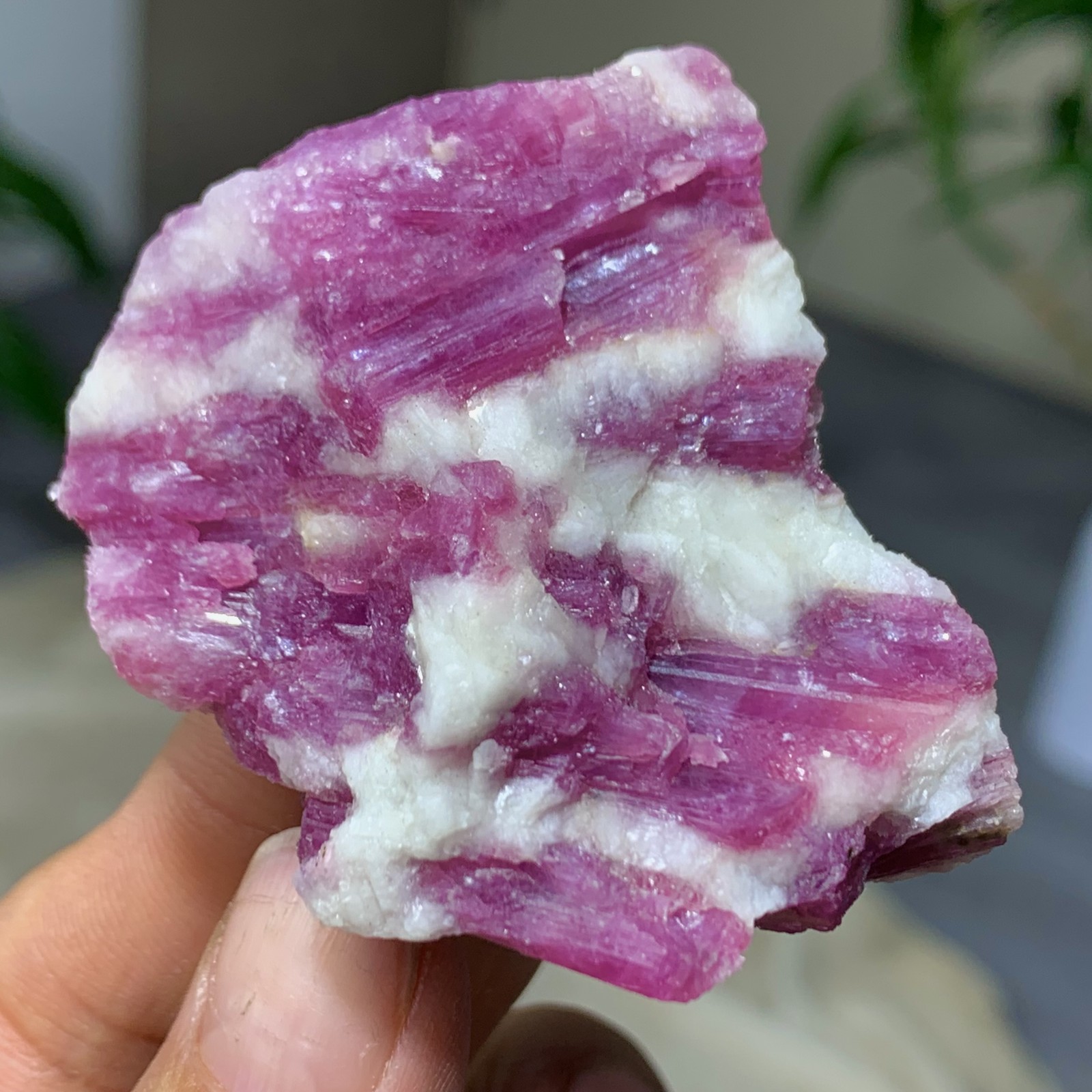 74G Natural Red tourmaline with quartz crystal cluster mineral specimen