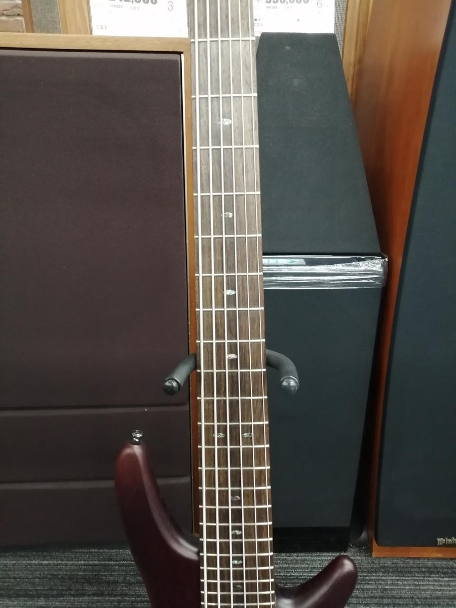 IBANEZ SR506 electric bass | eBay