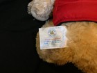 Bear Plush Dress for Winter Soft & Cuddly 15 Inches — photo 3