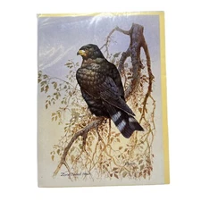 Vintage Zone Tailed Hawk Art Print Signed Bere Quay Pub Dorsey UK