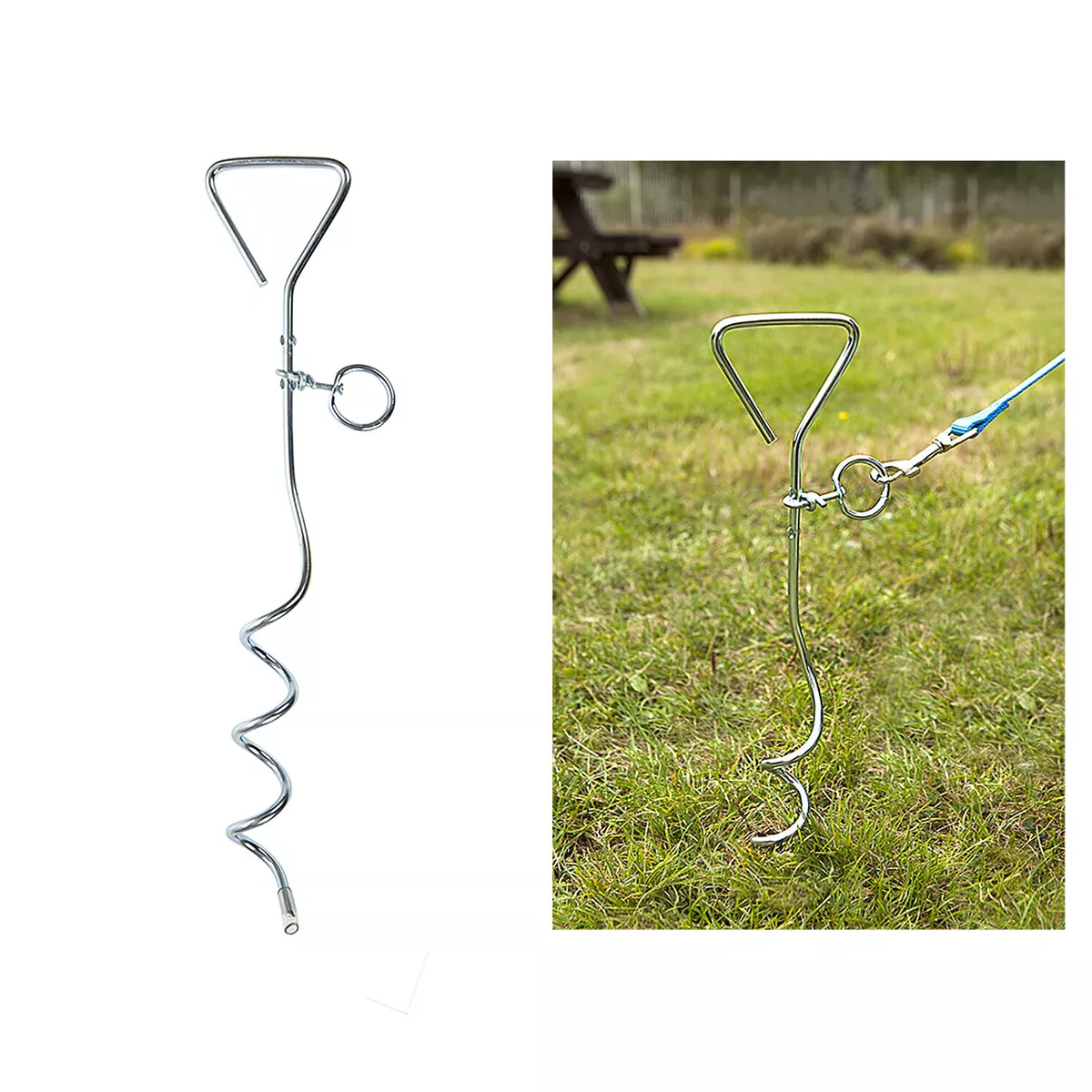 Dog stake on sale and lead