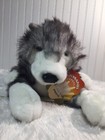 Foto 5 di 5